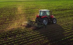 Çiftçiye Bugün Dev Destek: 2 Milyar Liralık Ödeme Hesaplara Yatıyor